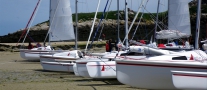 IMGP3636