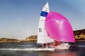 Flourescent pink spinnaker