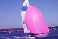 This flourescent pink spinnaker
looks better in real life.
Spinnakers are available 
in a variety of colours